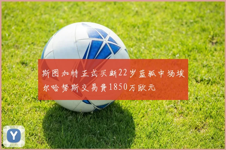 斯图加特正式买断22岁蓝狐中场埃尔哈努斯交易费1850万欧元